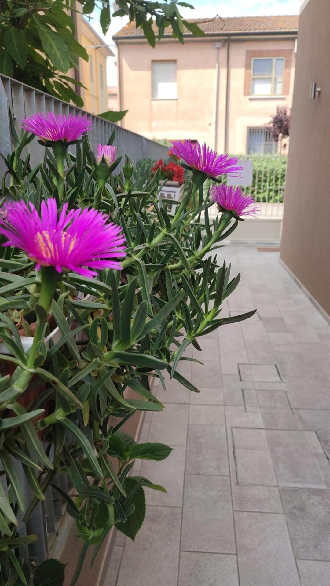 Darsena B&B Tra Arte E Mare Ravenna Exterior foto